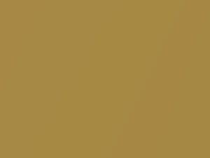 Buick All Models Cortez Gold Metallic 1971 4139, 53, WA4139