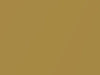 Buick All Models Cortez Gold Metallic 1971 4139, 53, WA4139