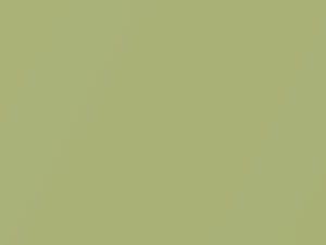 Daihatsu All Models Lime Green Metallic 2004 G40