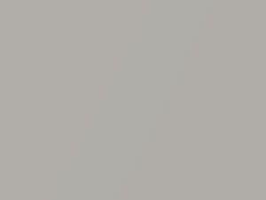 Chrysler All Models Light Graystone Pearl 2007 PDA