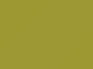 Toyota All Models Light Yellow 2005 5A0