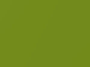 Volkswagen All Models Viper Green Metallic/Viperngruen Metallic 2008 6B, 6B6B, 9070, LR6T, R6T