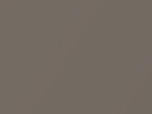 Nissan All Models Saharan Stone Metallic 2010 KAH - Scratch Repair