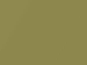 Nissan All Models Greenish Gold Metallic 2007 E32