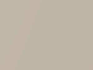 Fiat All Models Avorio Metallic 1998 204A - Scratch Repair