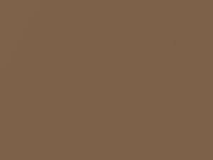 Toyota All Models Brown Metallic 1987 4G5