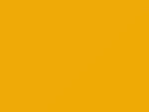 Ford All Models Bright Yellow 1995 PP