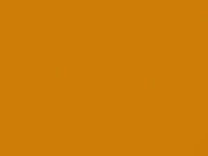 Ford Focus Broom Yellow 2006 647, TK