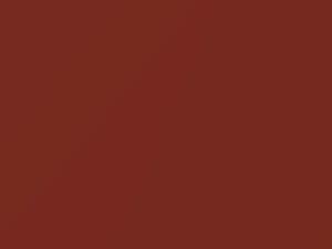 Ford All Models Burnt Orange Metallic 1970 M3202A, O, Y
