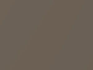 Ford All Models Medium Sandalwood Metallic 1988 A2, B8 - Scratch Repair