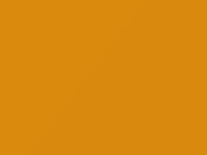 Chevrolet All Models Yellow 1991 35, 8769, WA8769 - Scratch Repair