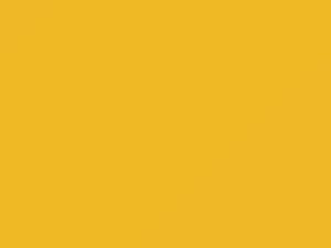 Fiat All Models Giallo Sole 1998 512A