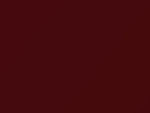 Pontiac All Models Cobalt Red 2005 27, 946L, WA946L