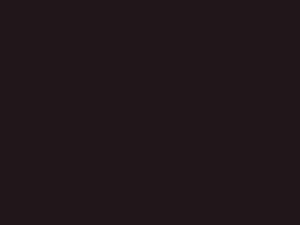 Ford Transit Cafe Metallic 2009 1, 3, 39, 706, 8LTE, 8LTEWWA - Scratch Repair