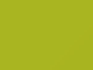 Fiat Panda Giallo Fluo 2009 012A