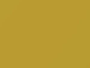 Fiat All Models Giallo Carioca 2010 241A