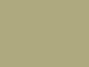 Saab 44807 Bright Champagne Metallic 2010 312, GAI - Scratch Repair