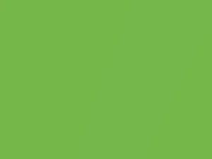 Ford All Models Green Envy Pearl 2015 DGGGWHA, DGGGXWA, HD, M7278A