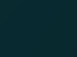 Oldsmobile All Models Dark Teal Metallic 1995 35 - Scratch Repair