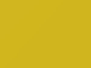 Hyundai All Models Tweety Yellow 1999 VV
