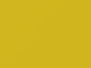 Kia All Models Tweety Yellow 1999 VV