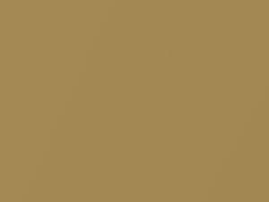 Nissan All Models Gold Pearl 2011 EJ3 - Scratch Repair