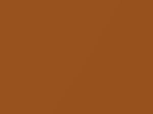 Nissan All Models Beige Metallic 2002 AW5 - Scratch Repair