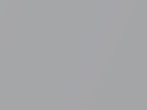 BMW 8 Series Sterling Silver Metallic 1993 244