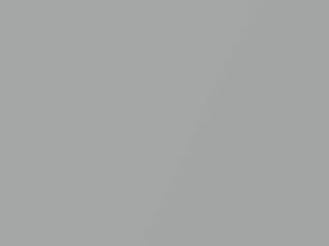 Dodge All Models Burnished Silver Metallic 1983 AY70TA3, DT1609, PA3, TA3 - Scratch Repair