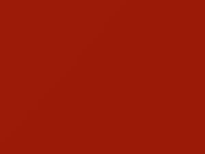 Ford All Models Bright Bittersweet 1980 2G, M5680, M5680A, M5717A - Scratch Repair