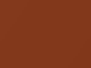 Chevrolet All Models Russet Metallic 1987 66, 9189, WA9189