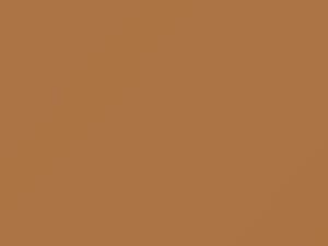 Chevrolet All Models Tan 1985 52, 8958, WA8958 - Scratch Repair