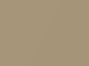 Dodge All Models Beige Metallic 1991 BL4, PL4 - Scratch Repair