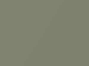 Nissan All Models Urban Olive Metallic 2009 DXA