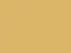 Buick All Models Yellow Beige 1987 54, 8525, WA8525