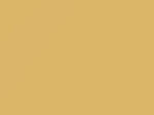 Buick All Models Yellow Beige 1986 54, 8525, WA8525