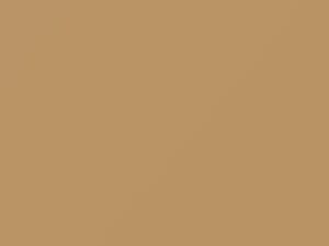 Chevrolet All Models Tan 1986 60, 8920, WA8920 - Scratch Repair