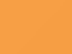 Ford All Models Pastel Chamois 1980 M5713A, W20A848