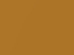 Chevrolet All Models Colorado Gold Metallic 1985 51, 7953, WA7953 - Scratch Repair