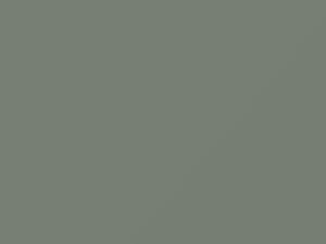Buick All Models Light Pearl Gray 1989 17, 9349, WA9349