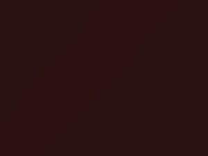 Toyota Truck Wine Red 1987 3B2