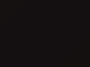 Honda Crx Blackburn Black Metallic 1985 NH80M