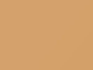 Pontiac All Models Copper Beige 1988 52, 8973, 9179, WA8973, WA9179 - Scratch Repair