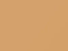 Oldsmobile All Models Copper Beige 1987 52, 8973, WA8973
