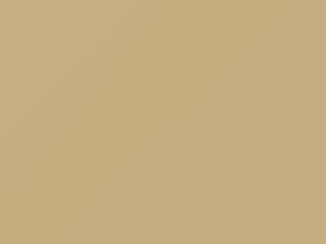 Chrysler All Models Beige 1984 AC10725, S25