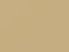 Chrysler All Models Beige 1984 AC10725, S25