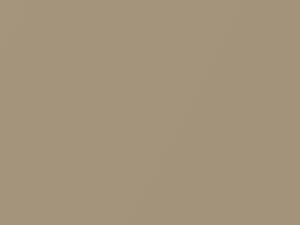 Volkswagen All Models Savannah Beige Metallic 1985 LH1V