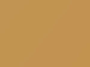 Cadillac All Models Chamois 1985 55, 8564, WA8564 - Scratch Repair