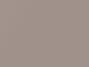 Cadillac All Models Light Antelope F/Metallic 1991 95 - Scratch Repair