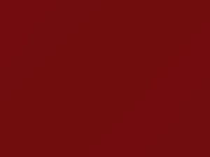 Ford All Models Bright Red 1979 25, E, M5555A